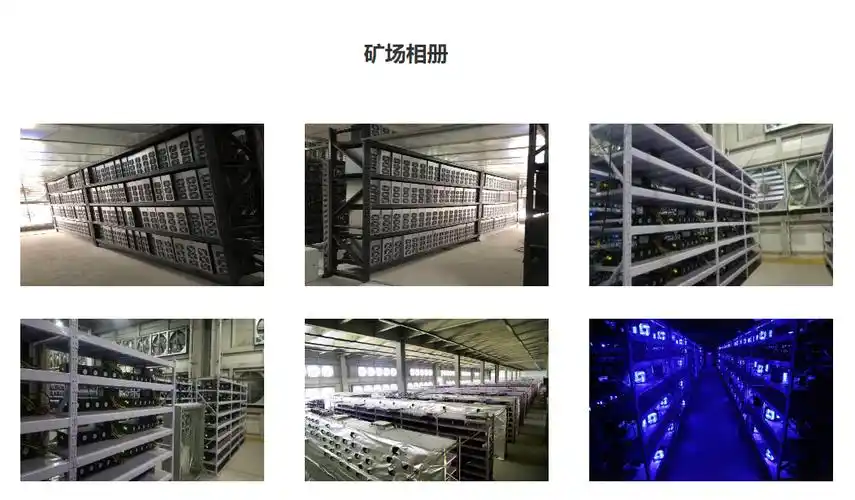 Expansive green mining farm leveraging renewable energy sources