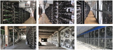 An advanced mining rig setup in an Australian facility, highlighting efficient cryptocurrency extraction processes
